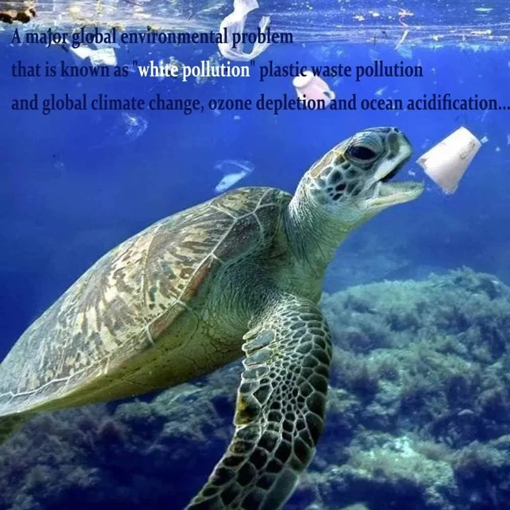 Biodegradable Shipping Bags,50 Count Compostable Poly Mailers with Eco Friendly Packaging Envelopes Supplies Mailing Bags Shop1103854314 Store